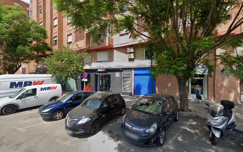 Peluquería Canina en Alicante