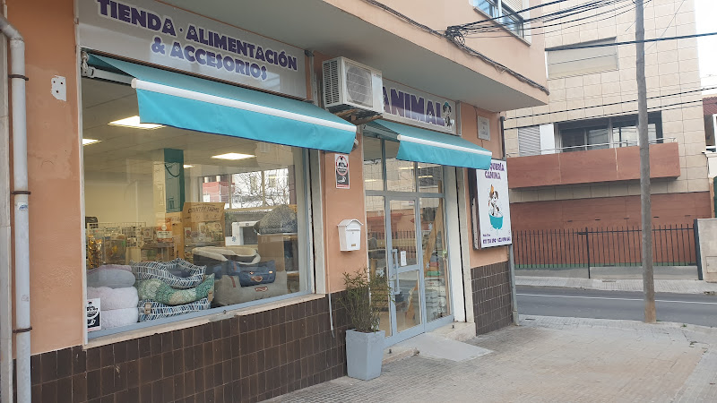Peluquería Canina en Balearic Islands