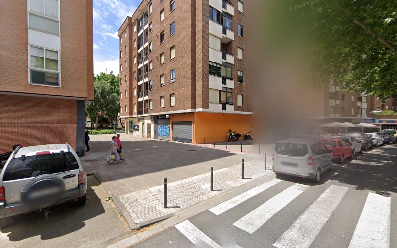 Peluqueria Canina en La Rioja
