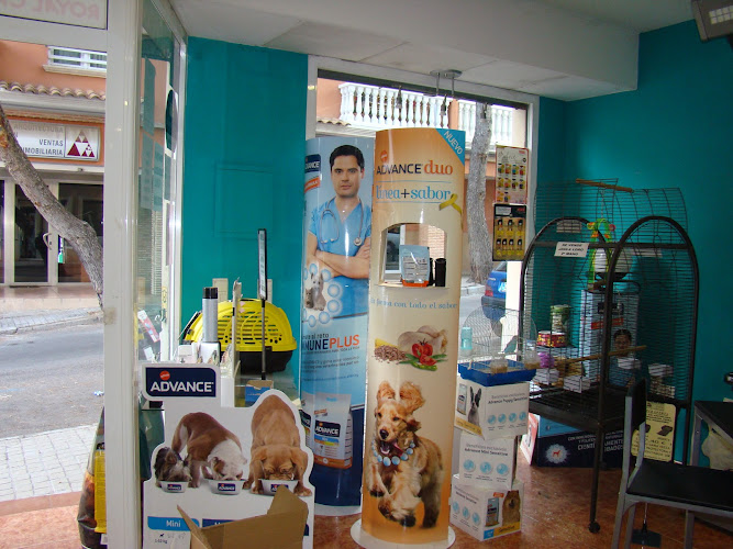 Peluqueria Canina 4Pelos, Alimentacion Y Complementos - Comercio Global en Valencia
