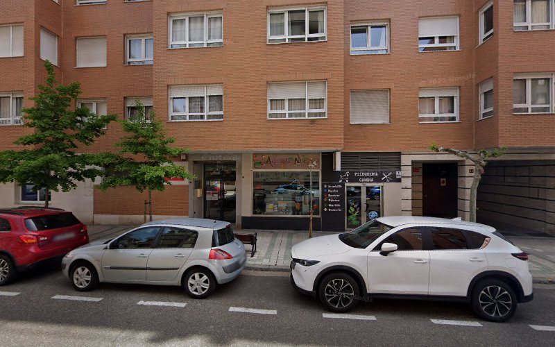 Peluqueria Canina en Palencia