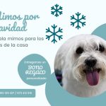 Peluquería Canina Alaskan – Peluquería Canina en Collado Villalba