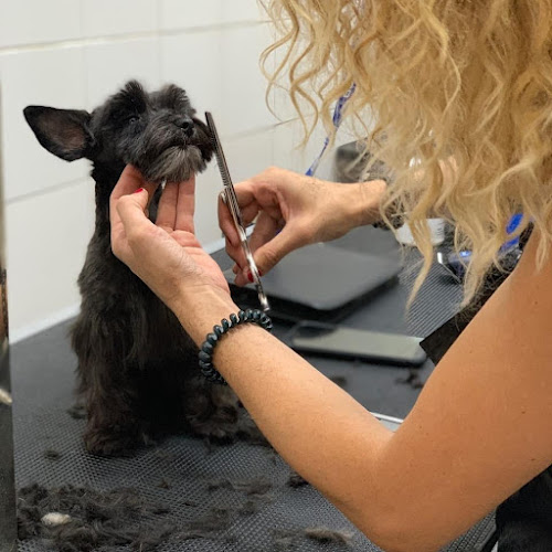 Peluquería Canina Anais Vlanco en Las Palmas