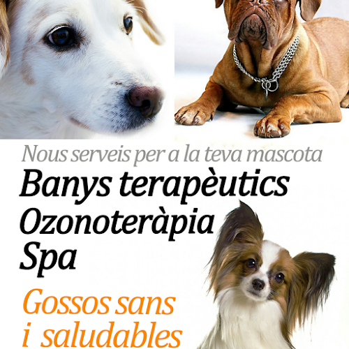 Peluquería Canina Angie en Tarragona