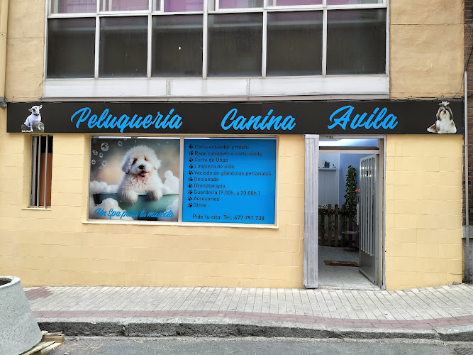 Peluquería Canina Ávila en Ávila