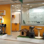 Peluqueria Canina Aviles Eci – Peluquería Canina en Es