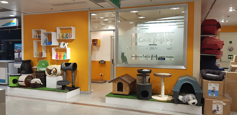 Peluqueria Canina Aviles Eci en Es