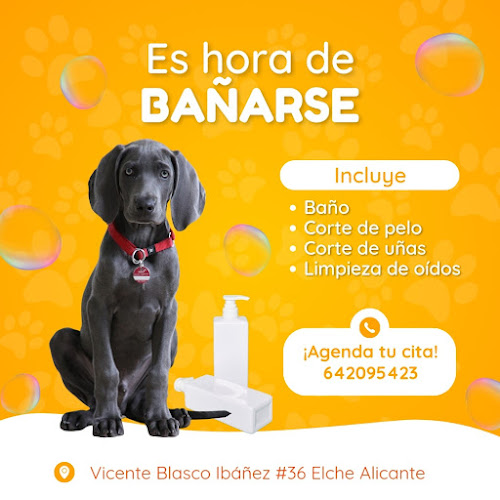 Peluquería Canina Barón Style C/Vicente Blasco Ibáñez #36 Elx Alicante en Alicante