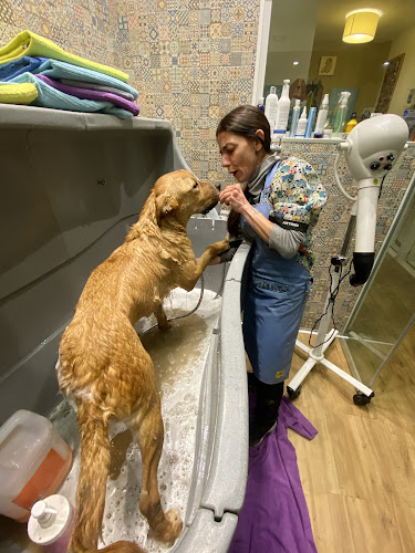 Peluquería Canina Can Bau en Barcelona