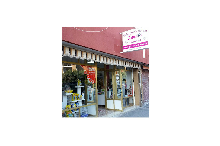 Peluquería Canina Carol en Alicante