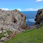 Peluquería Canina Castro Urdiales – Peluquería Canina en Castro-urdiales