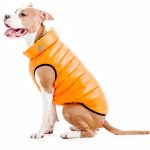 Peluqueria Canina Cerostres 0S3 – Peluquería Canina en Ansoáin