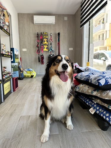 Peluquería Canina Cinco Lobitos en Balearic Islands