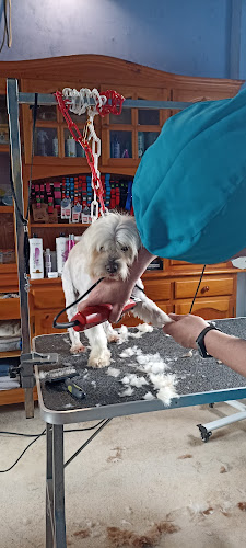 Peluquería Canina Connemara en Girona