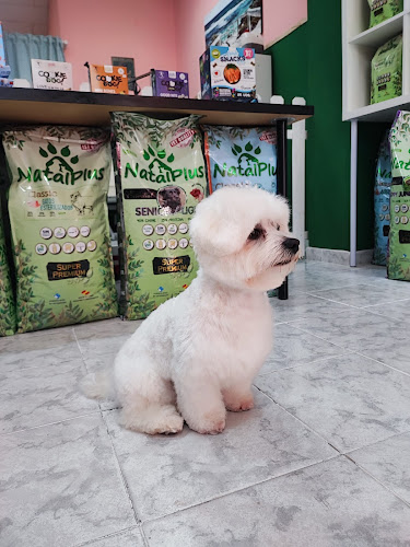 Peluquería Canina De Pura Alma. Renedo De Piélagos en Cantabria