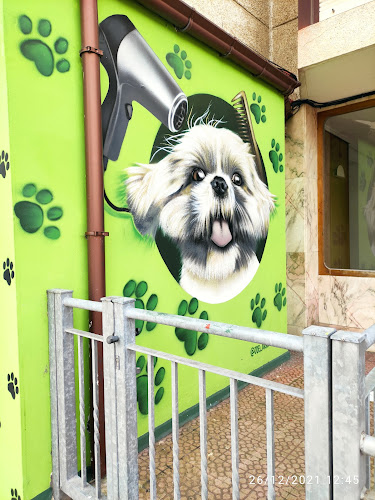 Peluquería Canina Dejando Huella Noja en Cantabria