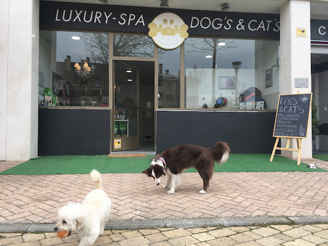 Peluquería Canina Dog's & Cat's Luxury Spa en Madrid