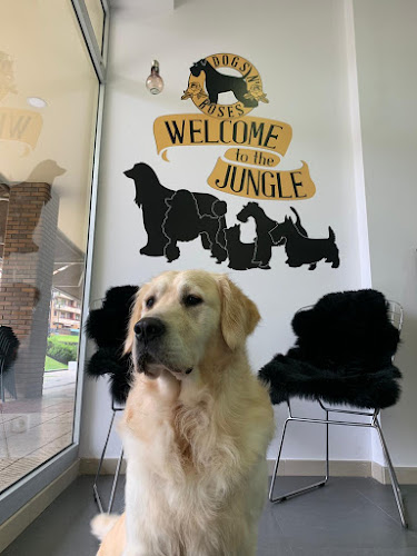Peluquería Canina Dogs N' Roses en Asturias