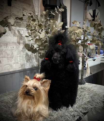 Peluquería Canina El Karmelo en Biscay