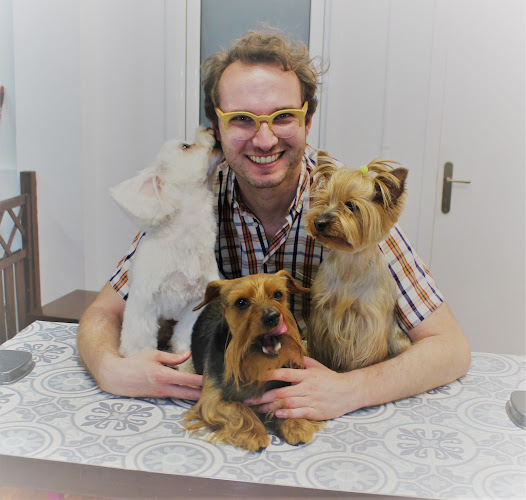 Peluqueria Canina Elegant Gos Les Corts en Barcelona
