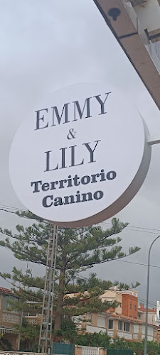 Peluquería Canina Emmy Lily Space en Alicante