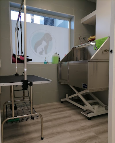 Peluquería Canina Entrenúcleos en Sevilla