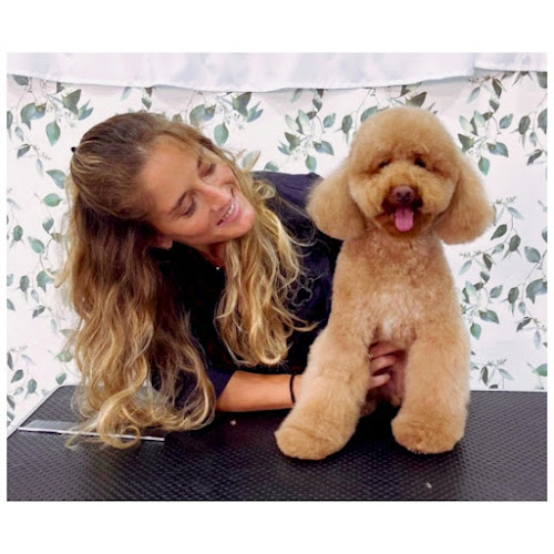 Peluquería Canina Estefanía Núñez en Sevilla