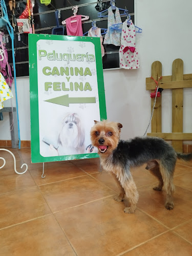 Peluquería Canina & Felina Laura B Martín en Granada