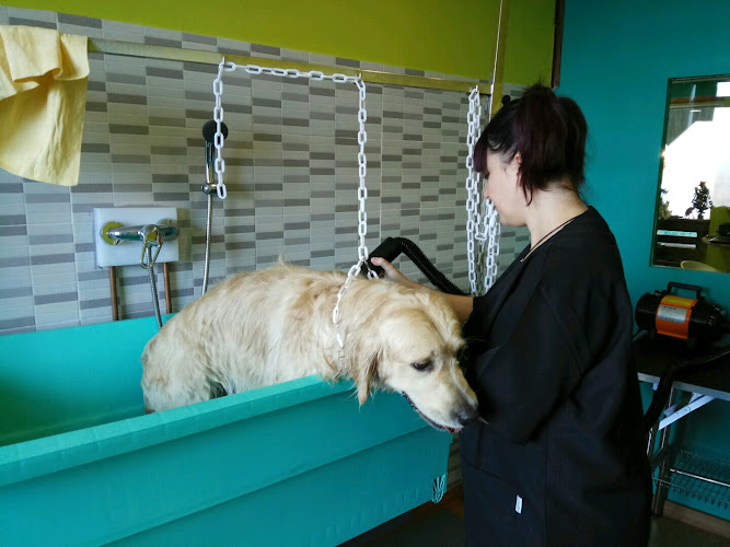 Peluquería Canina Gamperros en A Coruña