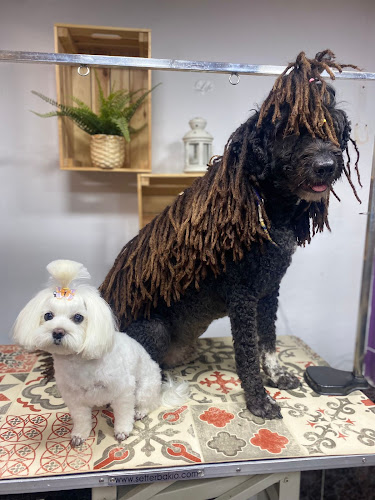 Peluquería Canina Guau La Pelu en Málaga