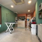 Peluquería Canina Hada – Peluquería Canina en El Parador De Las Hortichuelas