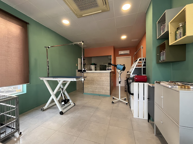 Peluquería Canina Hada en Almería