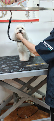 Peluquería Canina Inma Orozco en Las Palmas