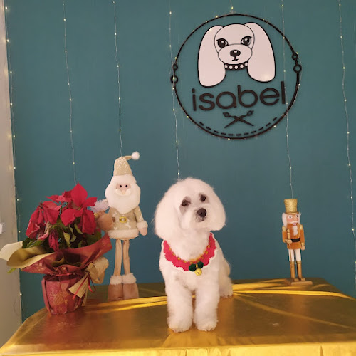 Peluquería Canina Isabel en Huesca