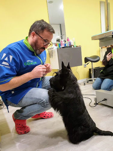 Peluquería Canina Juan A Fernandez en Asturias