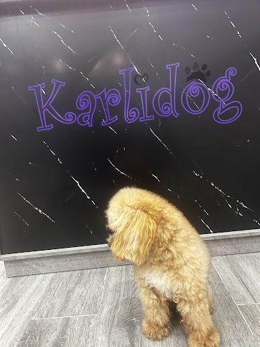 Peluquería Canina Karlidog en Zaragoza