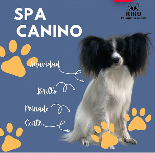 Peluquería Canina Kiku en Madrid
