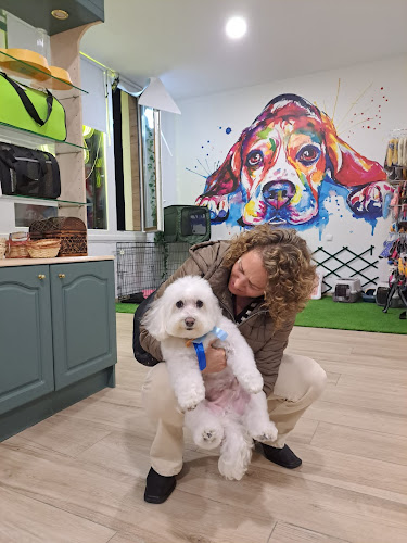 Peluquería Canina La Perruqueria De Valdebebas en Madrid