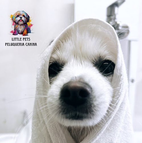 Peluqueria Canina Little Pets en Alicante