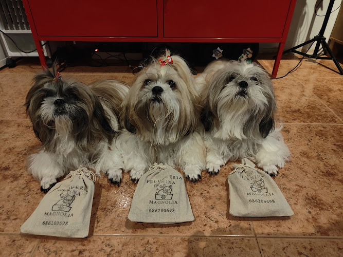 Peluquería Canina Magnolia en Las Palmas