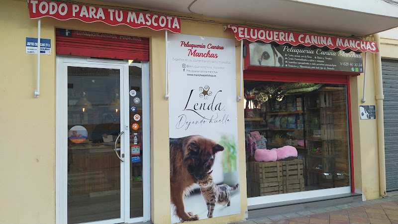 Peluqueria Canina Manchas en Albacete