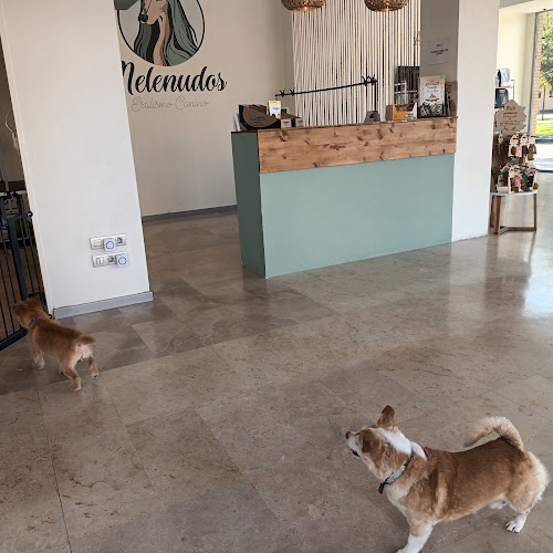 Peluquería Canina Melenudos en Zaragoza