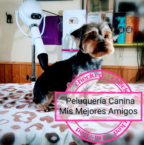 Peluquería Canina