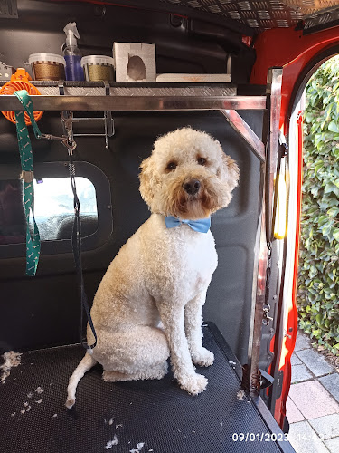 Peluqueria Canina Movil Cherokee en Madrid