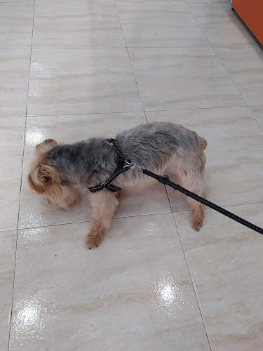 Peluquería Canina Nervión en Sevilla
