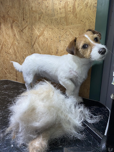 Peluquería Canina Nets I Pelats en Balearic Islands