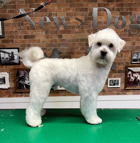 Peluquería Canina Newdog (Tresky) en Tarragona