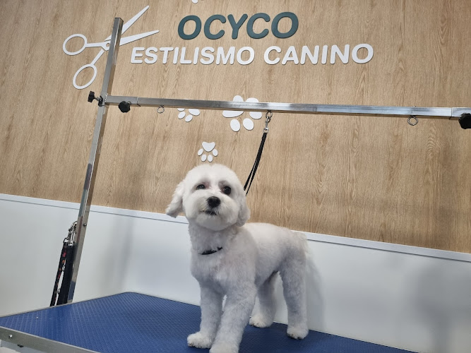 Peluquería Canina Ocyco en Zaragoza