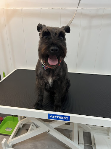 Peluquería Canina Ozzy en Madrid