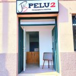 Peluquería Canina Pelu2 – Peluquería Canina en Marín